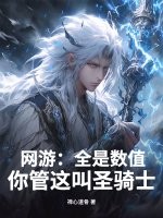 网游：全是数值，你管这叫圣骑士？
